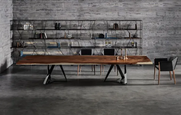 Libreria Lexington di Bontempi