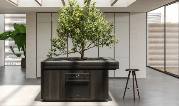 Cucina Design a isola di forma quadrata Oasi in Rovere fossile di Aran