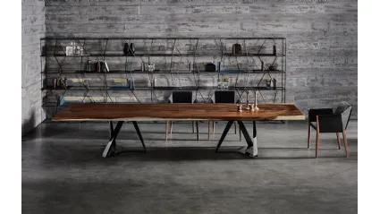 Libreria Lexington di Bontempi